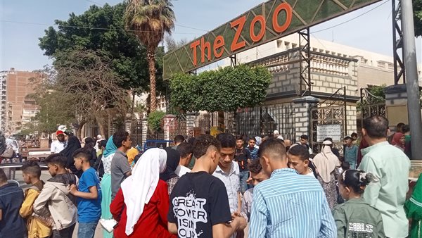 حديقة الحيوان بالفيوم