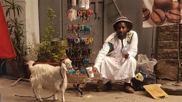 إبراهيم..بكار ورشيدة