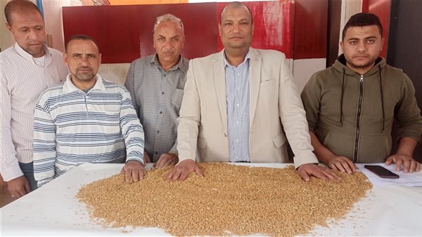 نائب مدير صوامع سدس