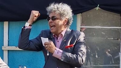 الجالية المصرية في ألمانيا تشيد بتنظيم مصر لقمة السلام: القاهرة هي المفتاح والحل لكل قضايا المنطقة