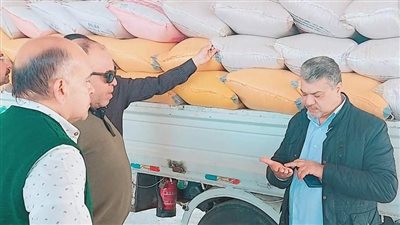 هلت بشاير الخير.. توريد القمح في أول أيام الموسم ببورسعيد | صور 