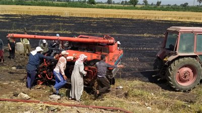 بسبب شرارة كهربائية.. حريق هائل في زراعات قمح بطنطا | صور