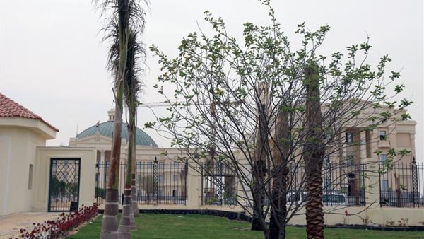 جامعة القاهرة 