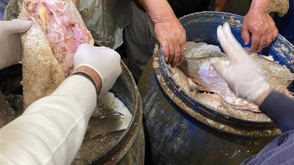 ضبط فسيخ ورنجة غير