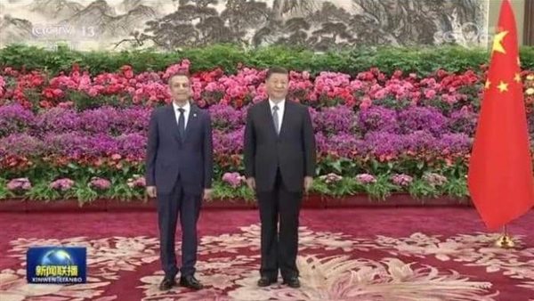 السفير المصري في