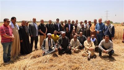 محافظ الشرقية يتوسط المزارعين في انطلاق موسم حصاد محصول القمح | صور
