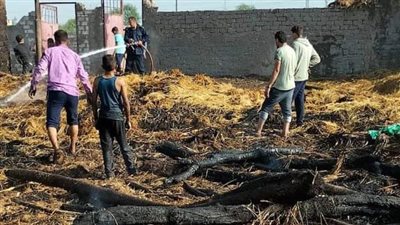 دون إصابات.. إخماد حريق داخل حظيرتين لتربية المواشي والدواجن في الغربية | صور