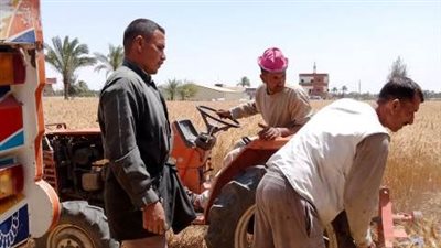 1500 جنيه للإردب.. توريد 58 ألفًا و599 طن قمح في موسم الحصاد بالشرقية