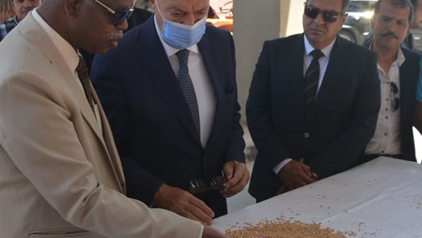 محافظ القليوبية 