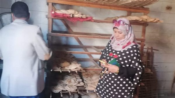 حملات تفتيشية بالمنيا