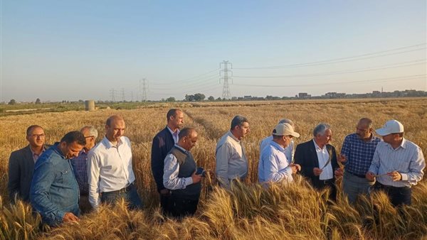  افتتاح حصاد المحاصيل