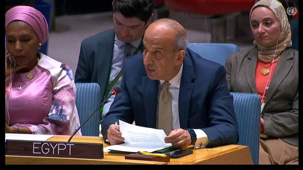 مندوب مصر أمام مجلس