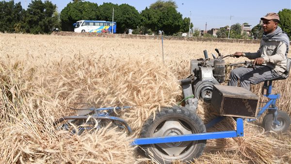 انطلاق موسم حصاد