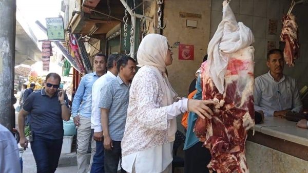 حملات تفتيشية بالمنيا