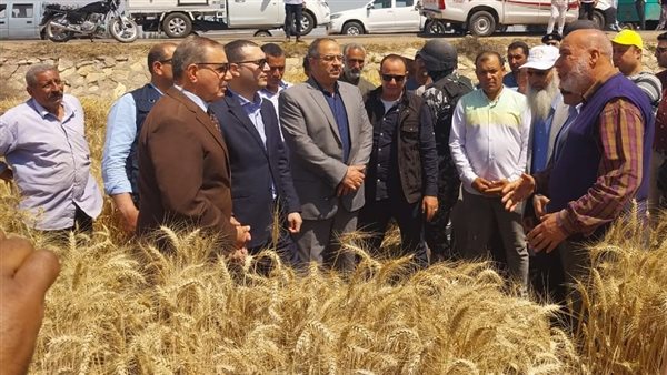 المحافظ يشهد موسم