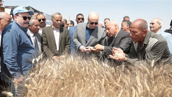 محافظ بني سويف يفتتح