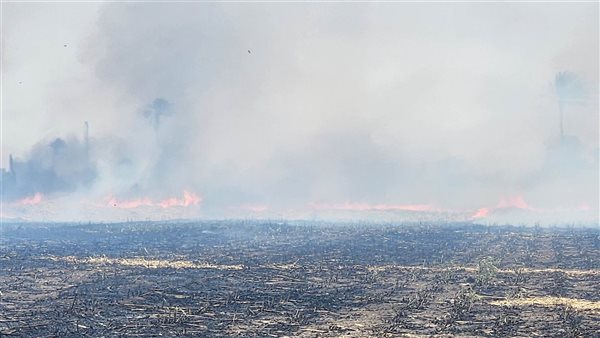 نشوب حريق بمحصول