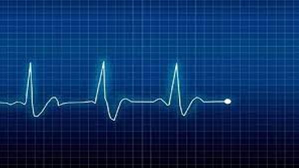 ضربات القلب 
