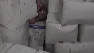 ضبط 2 طن جمبري منتهي الصلاحية بالمرج قبل توزيعه على الأسواق