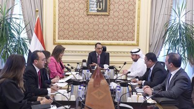 السماح للأجانب بتملك الأراضي وقيد المستثمرين منهم الأبرز.. 8 قرارات لمجلس الوزراء خلال أسبوع