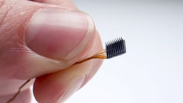 رقائق دماغية