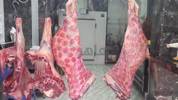 اسعار اللحوم 