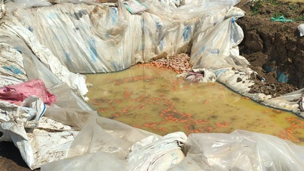 ضبط مخللات غير صالحة