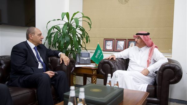 مباحثات مصرية سعودية