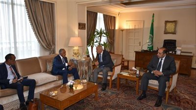 أبو الغيط يلتقي المبعوث الرئاسي السوداني لبحث تطورات الوضع في الخرطوم 