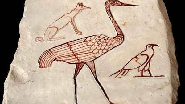 أوستراكا من دير المدينة