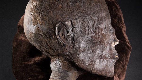 رأس مومياء مصرية