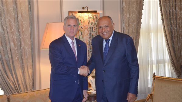 شكري ومكارثي