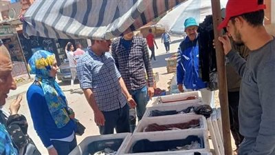 حملات مكثفة لضبط الأسعار وتوافر السلع والأسماك بأسواق العريش