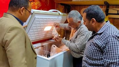 تحرير 65 محضرًا تموينيًا متنوعًا خلال حملة مكبرة بمركز مطاي بالمنيا