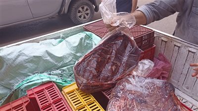 ضبط 6 أطنان لحوم ودجاج غير صالحة للاستهلاك الآدمي بالقليوبية