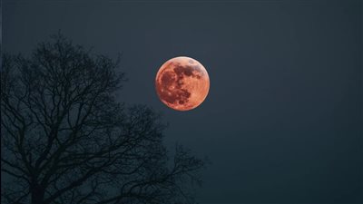 سماء مصر تشهد ظاهرة الخسوف وظهور القمر الدموي العملاق غدا | تفاصيل 