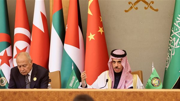 أمين الجامعة العربية