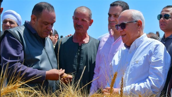 محافظ بورسعيد يشهد