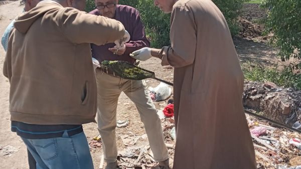 جانب من الكشف 