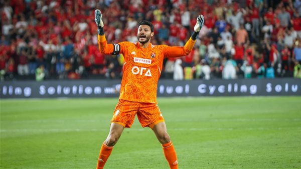 محمد الشناوي 