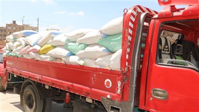 ضبط سيارة نقل محملة بـ 9 أطنان قمح غير صالحة قبل توريدها للصوامع بأسيوط