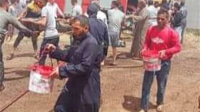 النار تلتهم 10 أفدنة قمح بمركز إطسا بالفيوم دون خسائر بشرية