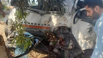 إصابة 10 أشخاص إثر اصطدام ميكروباص بشجرة في الإسماعيلية