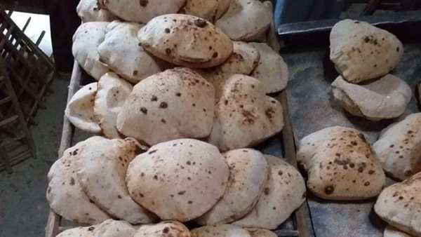 حملات تفتيشية بالمنيا