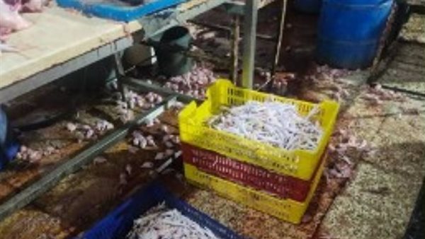 جانب من الضبوطات