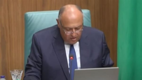 سامح شكري وزير الخارجية