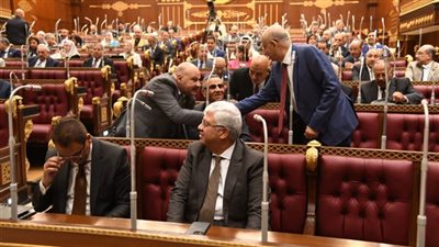 لجنة برلمانية توصى بترشيد استهلاك الطاقة بمصانع الأسمدة وإعادة تدوير المياه