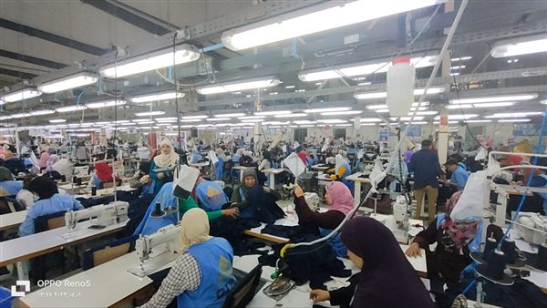 القوى العاملة بالمنيا