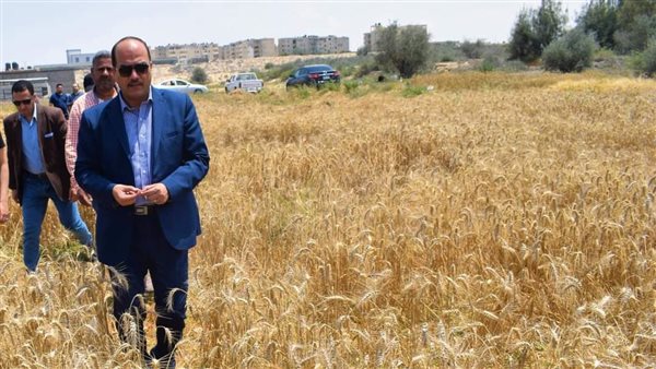 رئيس جامعة العريش