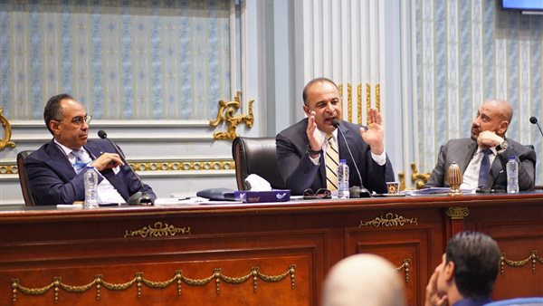 نائب وزيرة التخطيط